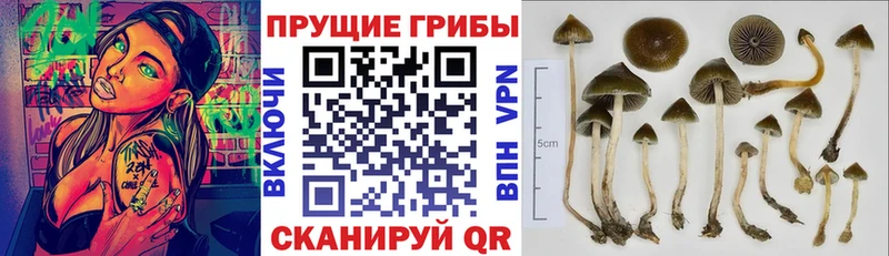 Галлюциногенные грибы мухоморы  Холм 